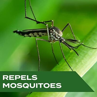 Stem Repels Mosquitoes: Mosquito Repellent Spray With Botanical Extracts; 4 Fl Oz (Pack Of 1) - Image 2